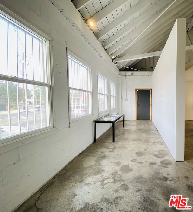 interior space featuring a healthy amount of sunlight and concrete flooring