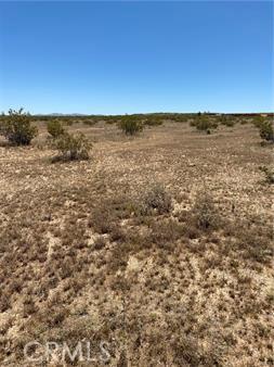 900 Fetlock Rd, Landers, CA 92285
