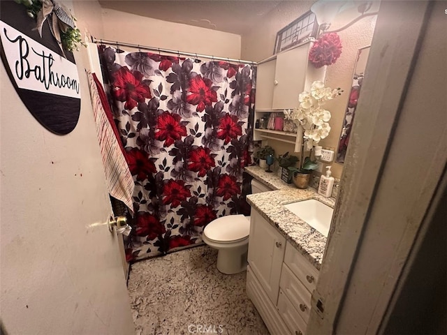 bathroom featuring a shower with curtain, vanity, and toilet