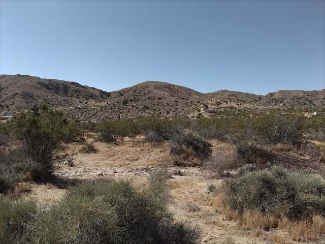 CanyonRd Canyon Road, Morongo Valley CA, 92256 land for sale