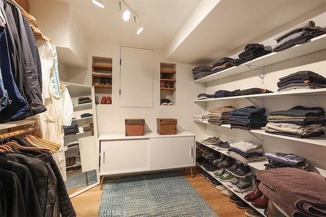 667 Glenneyre St, Laguna Beach, CA 92651 - walk in closet with light wood-style flooring