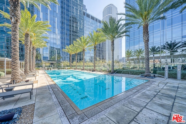 view of pool with a patio area