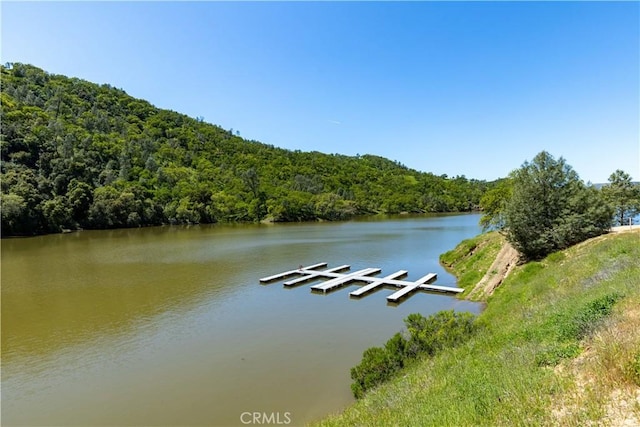 water view featuring a dock