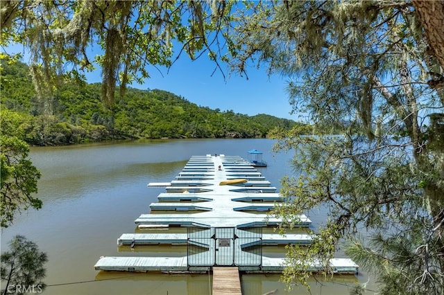 dock area with a water view