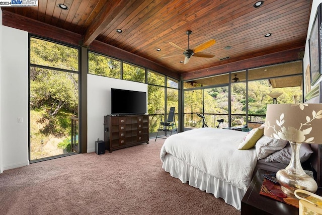 carpeted bedroom with ceiling fan, wood ceiling, beam ceiling, floor to ceiling windows, and access to exterior