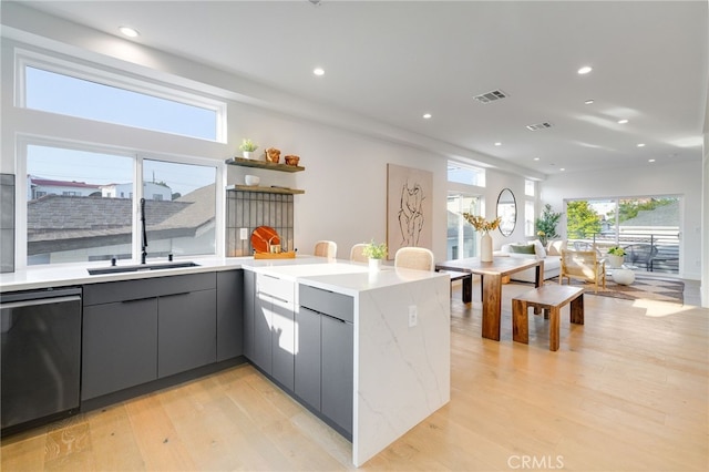 kitchen featuring light wood-type flooring, sink, a healthy amount of sunlight, and stainless steel dishwasher