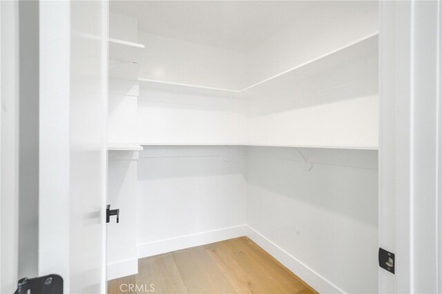 spacious closet featuring light hardwood / wood-style floors