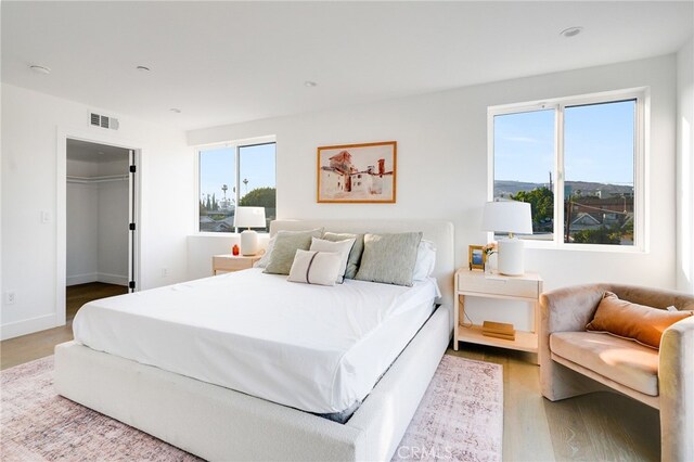 bedroom featuring a closet, a spacious closet, and hardwood / wood-style flooring