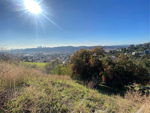 280 Grand View Ter, Mount Washington, CA 90065