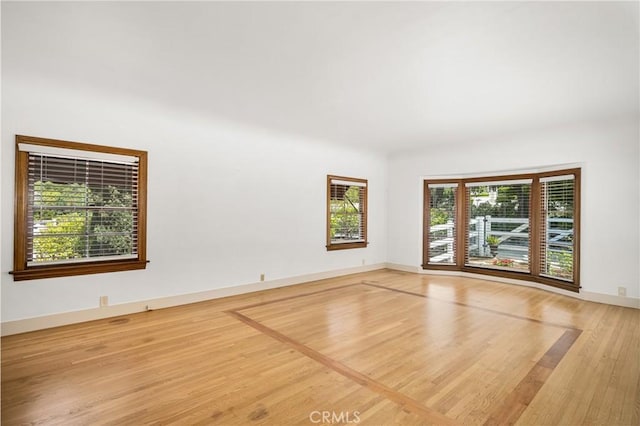 empty room featuring a healthy amount of sunlight and light hardwood / wood-style flooring