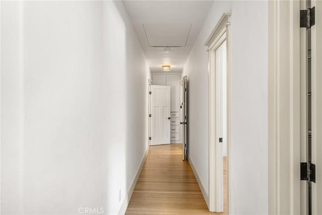 hallway featuring light wood-type flooring