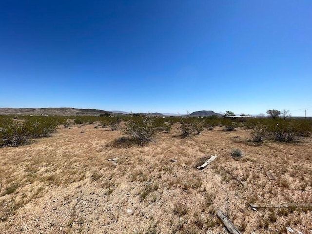 view of local wilderness with a mountain view