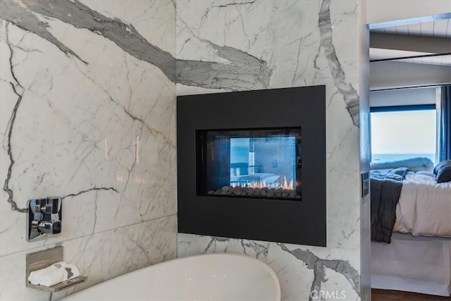 details with a fireplace and a bathtub