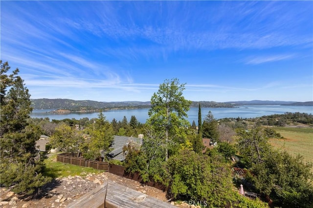 3730 Scenic View Dr, Kelseyville, CA 95451 - photo 57