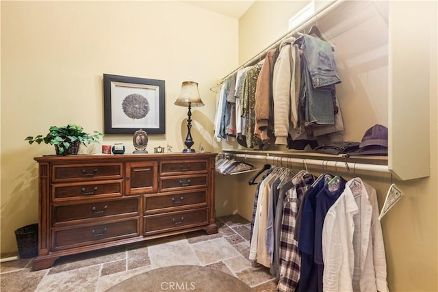view of spacious closet