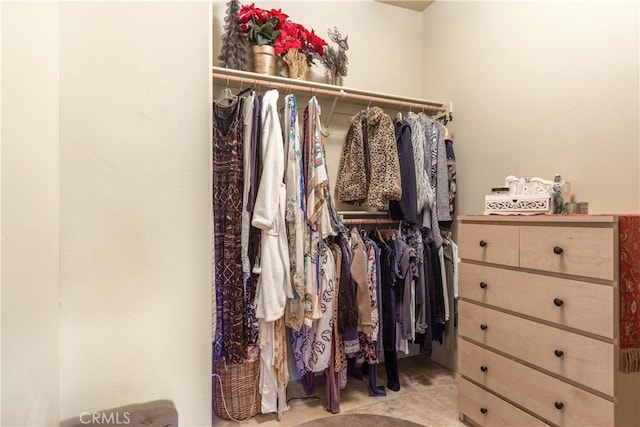 view of walk in closet