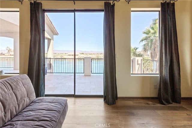 doorway with light hardwood / wood-style floors, a healthy amount of sunlight, and a water view
