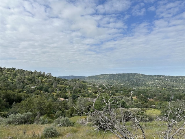 Listing photo 3 for 0LOT186 N Dome Dr, Coarsegold CA 93614