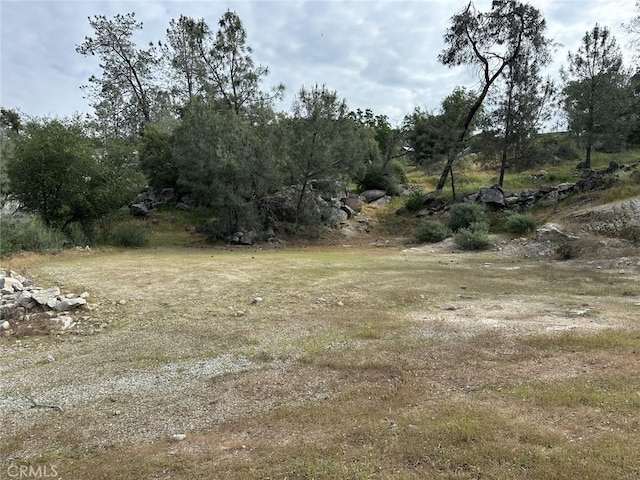 Listing photo 3 for 0LOT365 Oak Grove Ct E, Coarsegold CA 93614