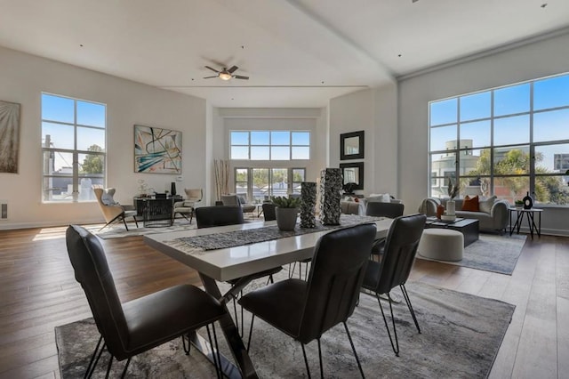 dining space featuring ceiling fan and hardwood / wood-style floors