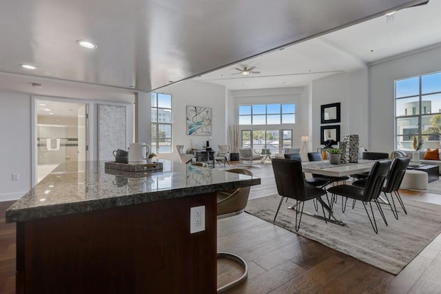 kitchen featuring hardwood / wood-style flooring, stone countertops, and ceiling fan