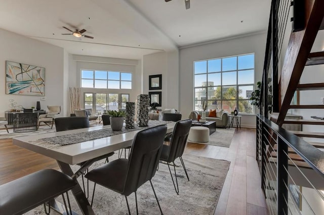 dining space with ceiling fan and light wood-type flooring