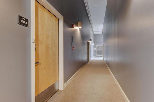 hallway featuring carpet floors