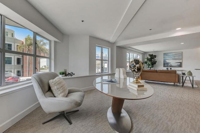 sitting room featuring carpet