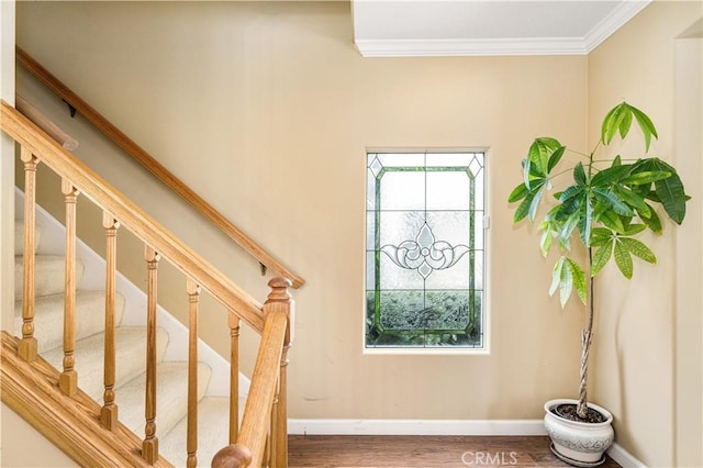 staircase with ornamental molding and wood-type flooring