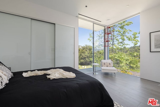 bedroom featuring hardwood / wood-style flooring, a wall of windows, and a closet