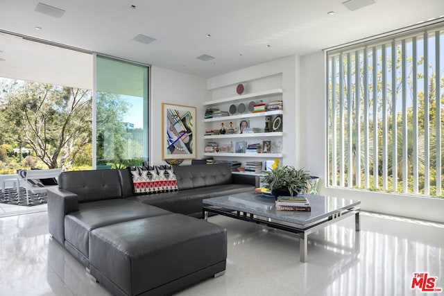 living room with a wall of windows and built in features