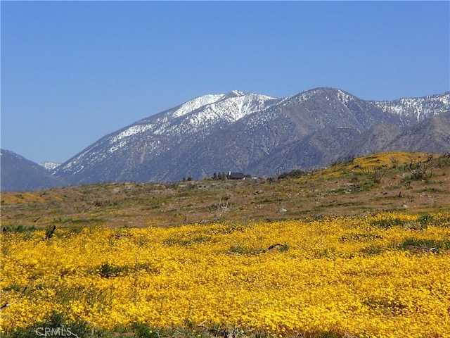 Listing photo 2 for 0 Pinon Pine Ln, Juniper Hills CA 93543