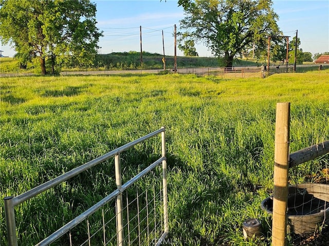 view of yard with a rural view