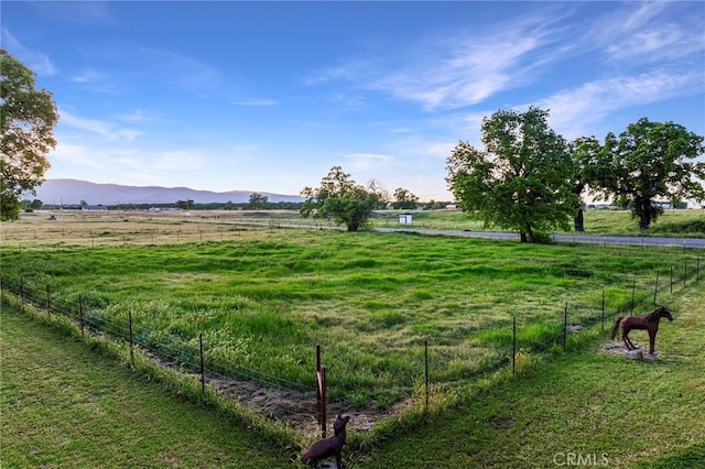 view of yard with a mountain view and a rural view