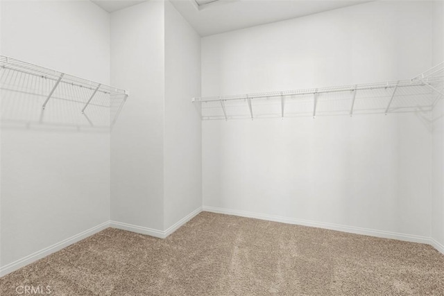 spacious closet with carpet flooring