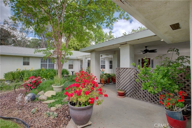 property entrance with a patio and ceiling fan