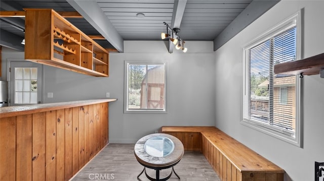 interior space with plenty of natural light and light hardwood / wood-style flooring