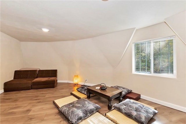 living room featuring light wood-type flooring