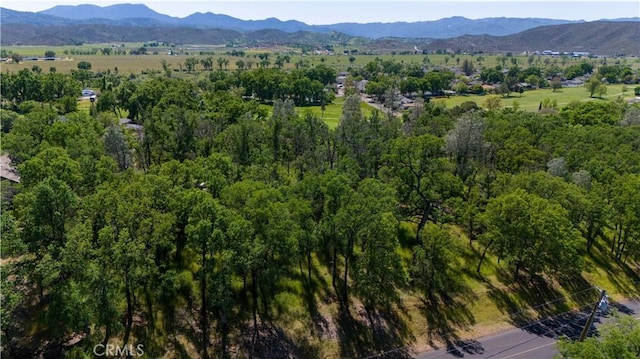 21148 Powder Horn Rd, Hidden Valley Lake, CA 95467 - photo 4