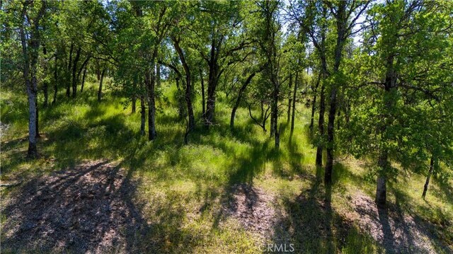 21148 Powder Horn Rd, Hidden Valley Lake, CA 95467 - photo 10