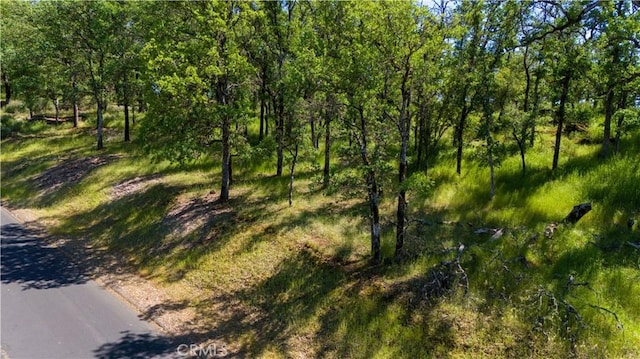 21148 Powder Horn Rd, Hidden Valley Lake, CA 95467 - photo 11