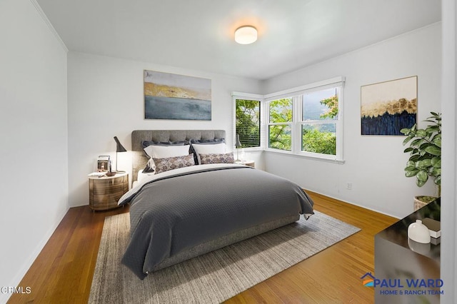 bedroom featuring wood-type flooring