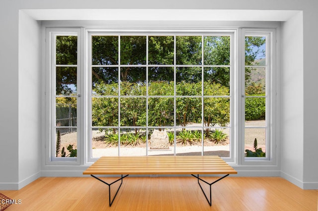 doorway with hardwood / wood-style flooring and a wealth of natural light