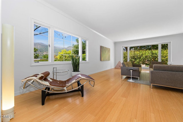 living area featuring ornamental molding, light hardwood / wood-style flooring, and plenty of natural light