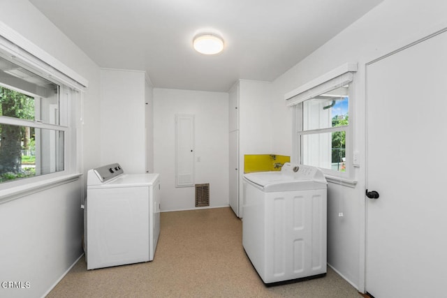 laundry room featuring a wealth of natural light, light carpet, and washing machine and clothes dryer