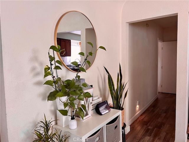 details featuring dark hardwood / wood-style flooring