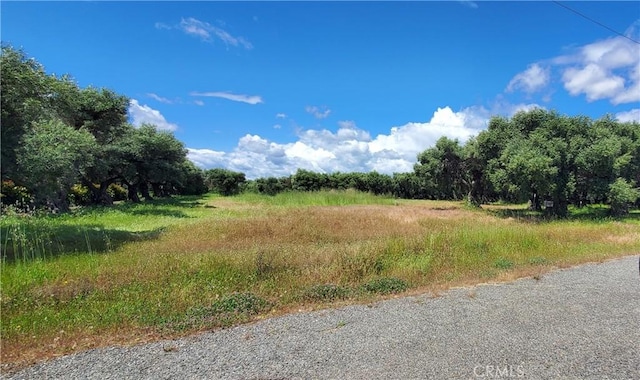 view of local wilderness featuring a rural view