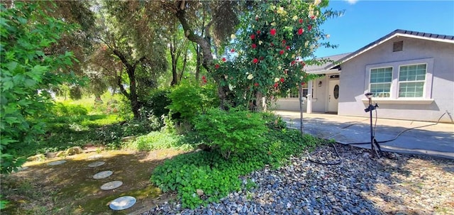 view of yard featuring a patio area