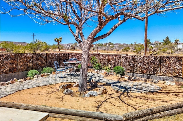 view of yard with a patio area