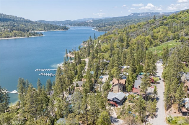 drone / aerial view with a water and mountain view